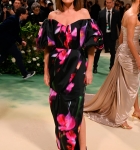 MET_GALA_2_28229.jpg
